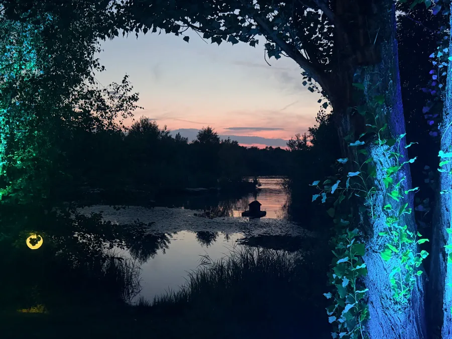 Blau beleuchtete Bäume am Ufer spiegeln sich im See bei Dämmerung