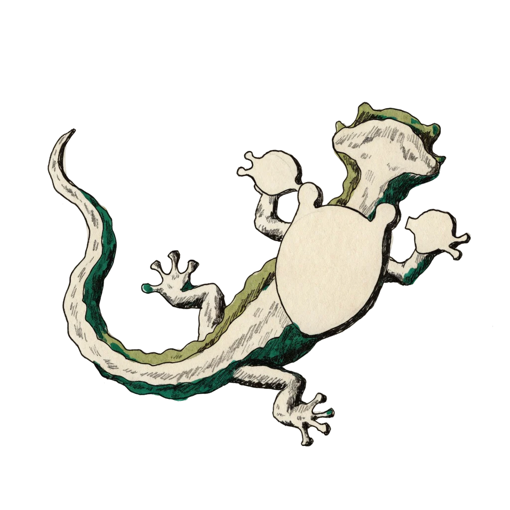 Freigestellter Salamander mit mehreren gestalteten Oberflächen