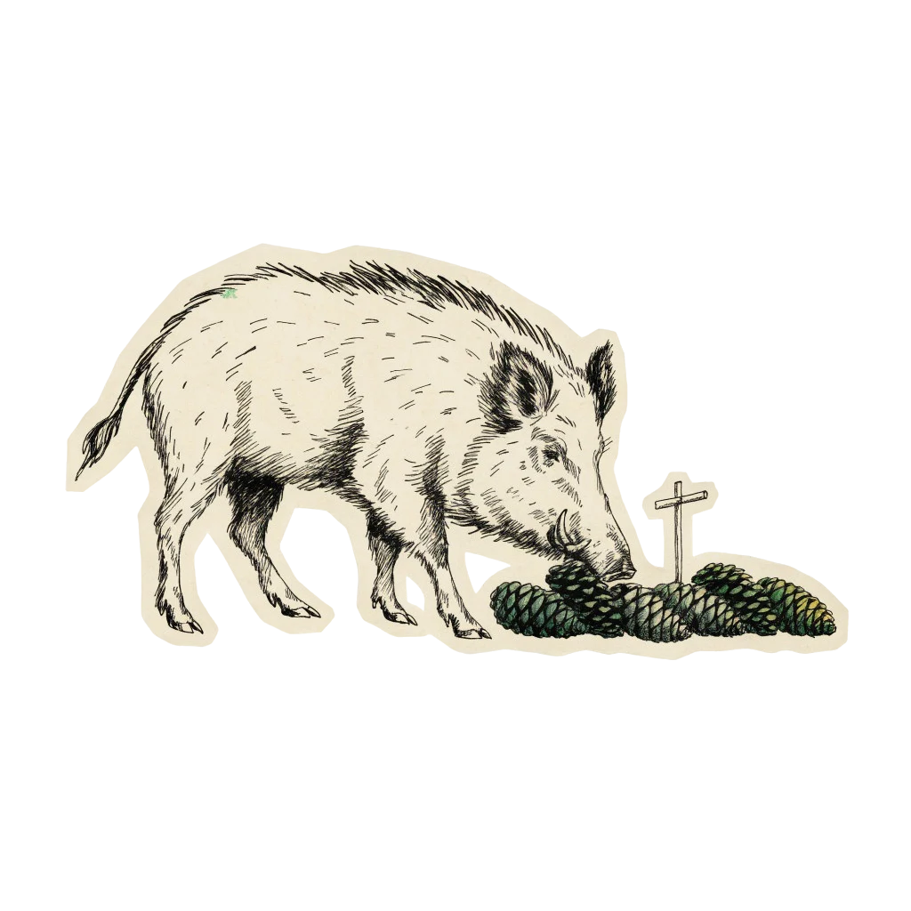 Freigestelltes Wildschwein an einer kleinen Wegmarke