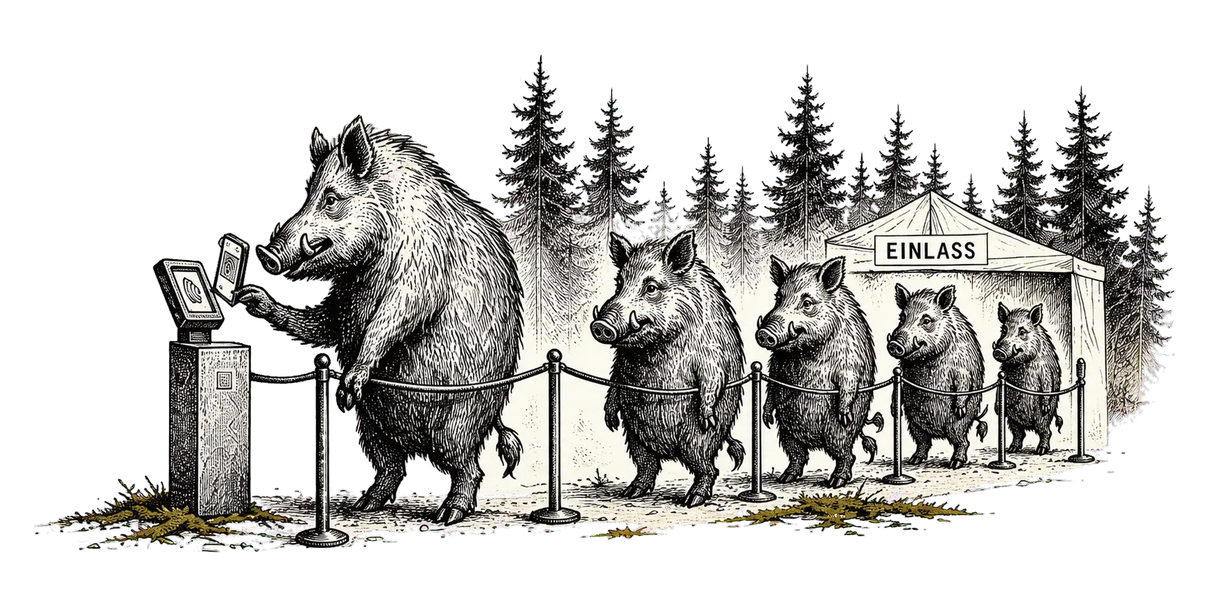 Wildschweine warten geordnet am digitalen Check-in