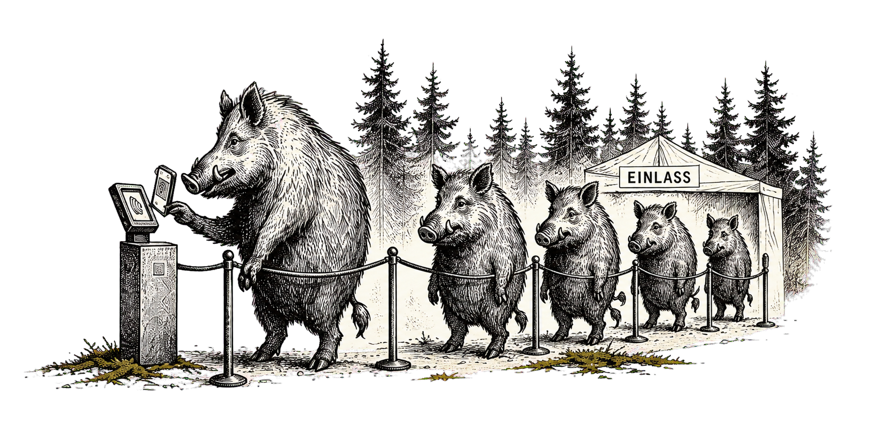 Wildschweine warten geordnet am digitalen Check-in